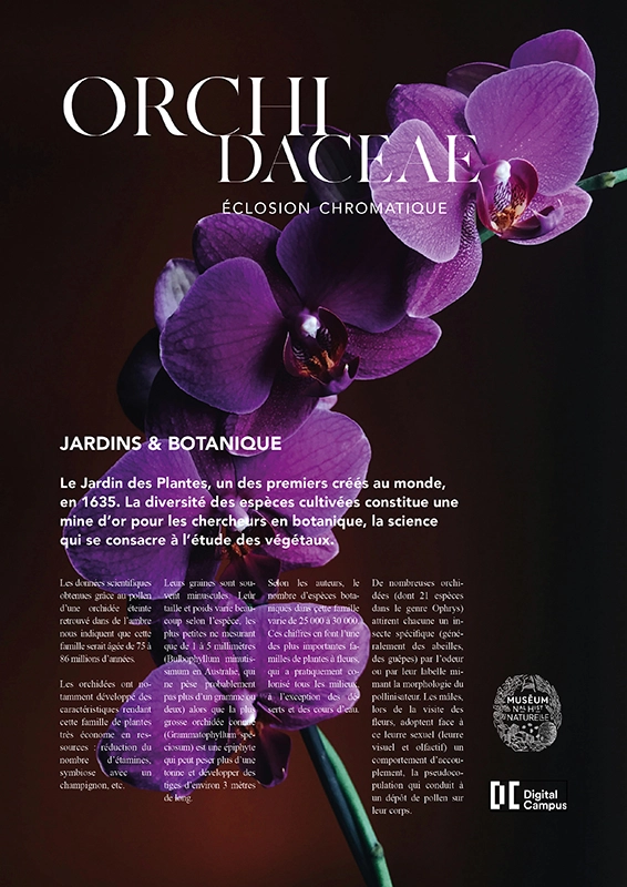 Affiche sur une exposition d'orchidées au musée d'histoire naturelle à Paris