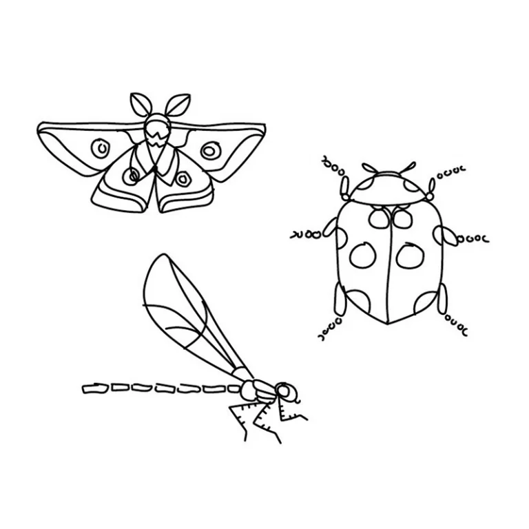 Croquis d'insectes stylisés dans un style géométrique : un papillon de nuit, une coccinelle et une libellule